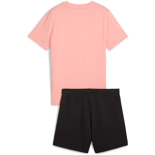 Puma  Rosa