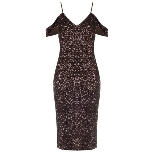 Kleidung Damen Kleider Rinascimento CFC0123900003 Schokolade