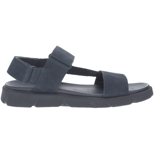 Geox  Blau