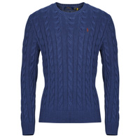 Kleidung Herren Pullover Polo Ralph Lauren PULL COL ROND MAILLE TORSADEE Blau / Navy