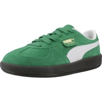 Schuhe Jungen Sneaker Puma PALERMO JR Grün