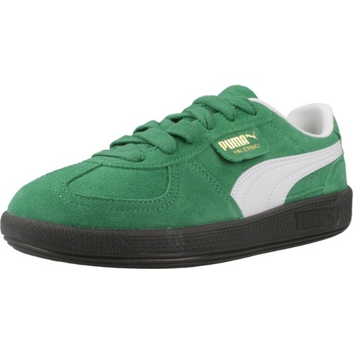 Schuhe Jungen Sneaker Puma PALERMO JR Grün