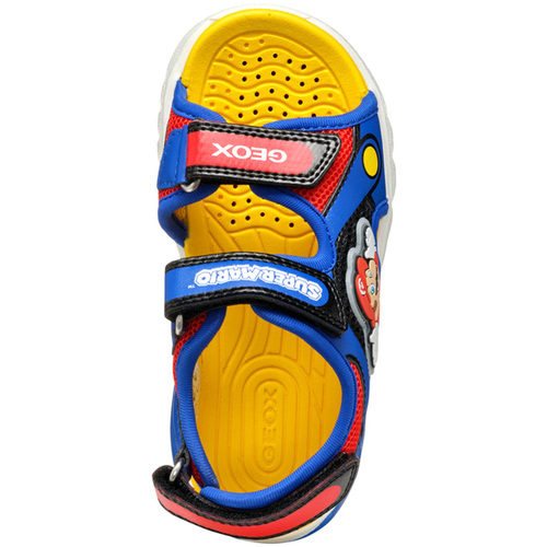 Geox  Blau