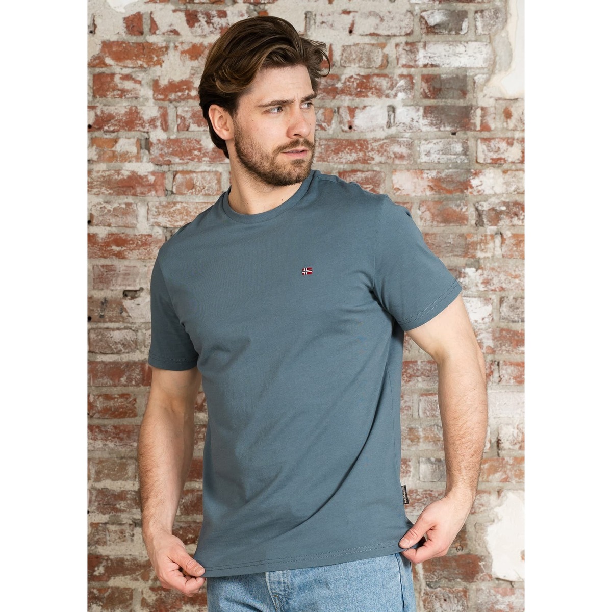 Kleidung Herren T-Shirts & Poloshirts Napapijri Salis sum - stormy weat Blau