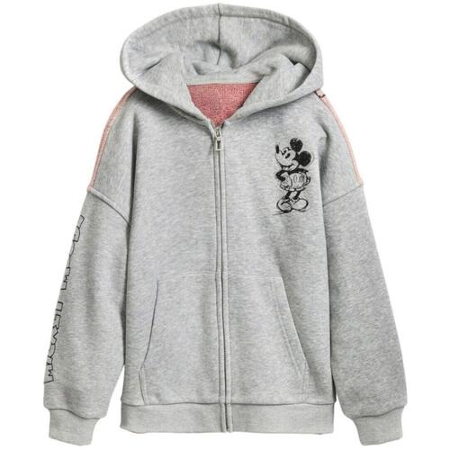 Kleidung Mädchen Sweatshirts Desigual  Grau