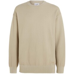 Kleidung Herren Sweatshirts Calvin Klein Jeans  Other
