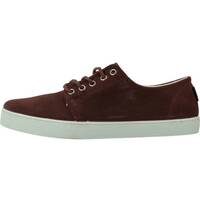 Schuhe Herren Derby-Schuhe Pompeii HIGBY SUEDE Braun