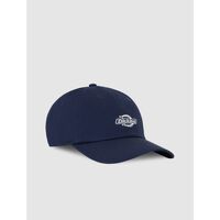 Accessoires Hüte Dickies ESSENTIAL DAD CAP - DK0A4Z6N-CT91 NAVY Blau