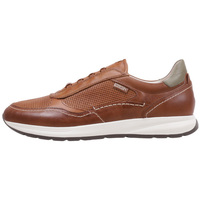 Schuhe Herren Derby-Schuhe & Richelieu Pikolinos GETAFE M2B-6284C1 Braun