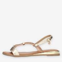 Schuhe Damen Sandalen / Sandaletten Gardini GS435-PLATINUM Grau