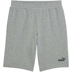 Kleidung Herren Shorts / Bermudas Puma  Grau