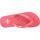 Schuhe Herren Zehensandalen Munich BASIC FLIP FLOP SCALLOP Rosa