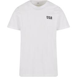 Kleidung Herren T-Shirts Mister Tee T-shirt  USA EMB Weiss