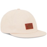Accessoires Herren Schirmmütze Dickies RIVER RANCH CAP WHITEC Beige