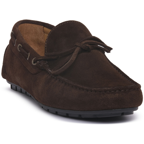 Exton TERRA CAMOSCIO Braun