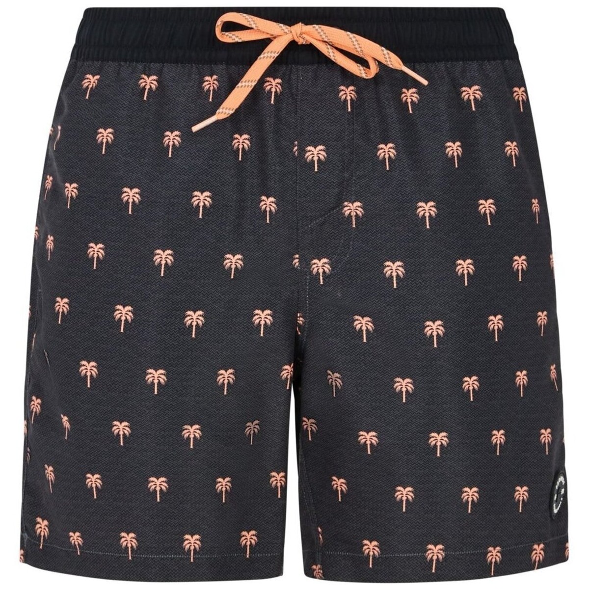 Kleidung Herren Badeanzug /Badeshorts Protest Sport Bekleidung PRTParco beachshort 71751028/899 Grau