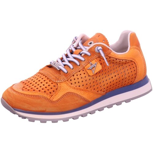 Schuhe Herren Derby-Schuhe & Richelieu Cetti Schnuerschuhe C-848-ambar Orange