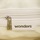 Taschen Damen Taschen Wonders WB53301 Weiss