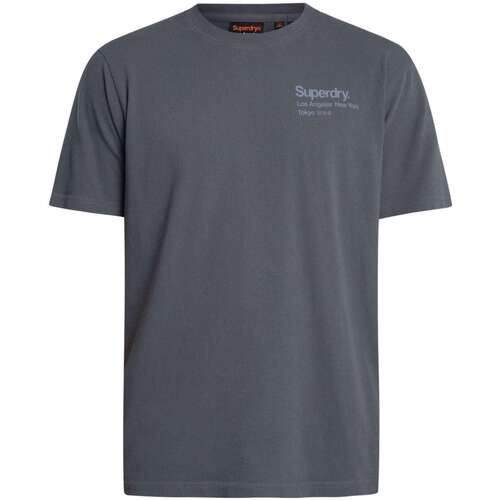 Kleidung Herren T-Shirts Superdry T-Shirt mit Core-Logo Grau