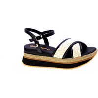 Schuhe Damen Sandalen / Sandaletten Gioseppo 465268 Schwarz