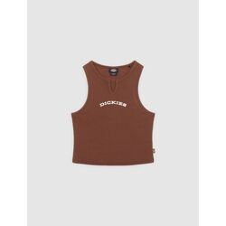 Kleidung Herren Tops Dickies V NECK TOP W - DK0A8677-K471 CAPPUCCINO Braun