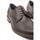 Schuhe Herren Derby-Schuhe & Richelieu Fluchos  Schwarz