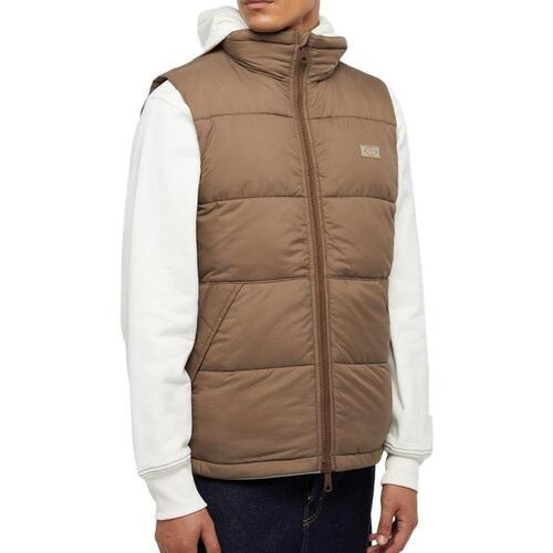 Kleidung Herren Daunenjacken Dickies DK0A4Y2KMR11 Braun