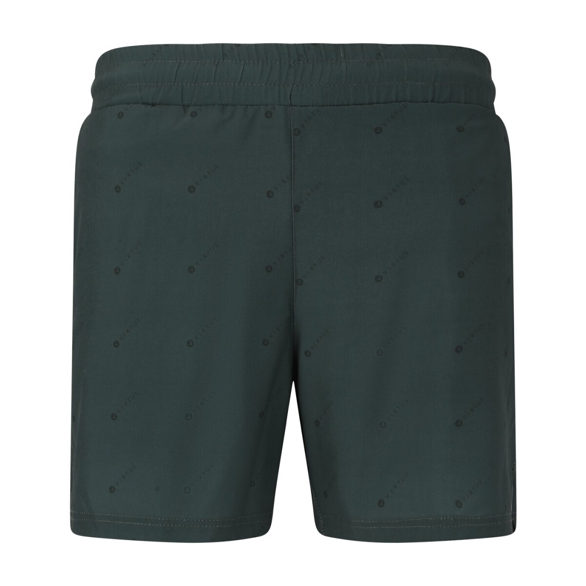 Kleidung Herren Shorts / Bermudas Virtus Short  Andrem Logo Board Grün
