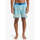 Kleidung Herren Badeanzug /Badeshorts Quiksilver  Schwarz