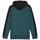 Kleidung Herren Sweatshirts Puma 673342-22 Grün