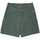 Kleidung Herren Shorts / Bermudas Element Carpenter canvas wk Grün