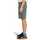 Kleidung Herren Shorts / Bermudas Element Carpenter canvas wk Grün