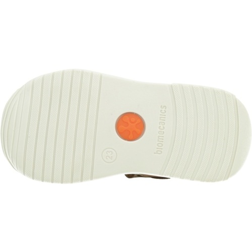 Biomecanics 252123B Braun