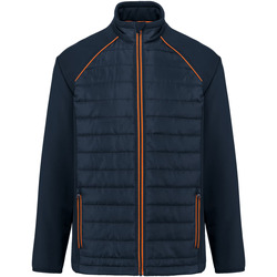 Kleidung Daunenjacken Wk. Designed To Work Doudoune bi-matière  Day To Day Blau
