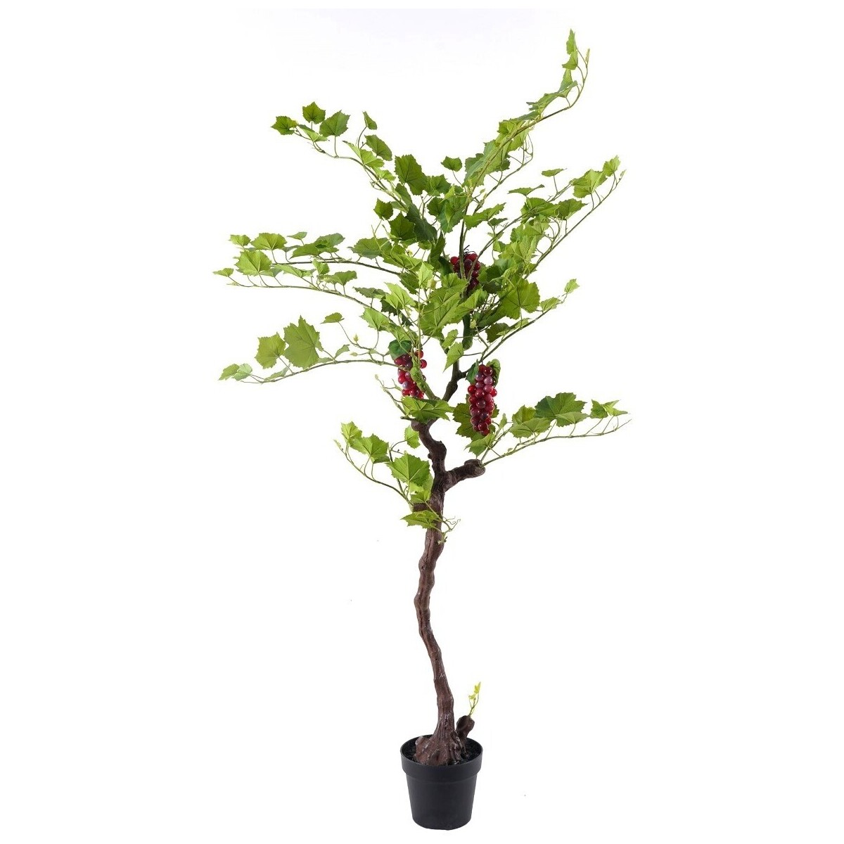 Home künstliche Pflanzen Signes Grimalt Weinbaum Grün