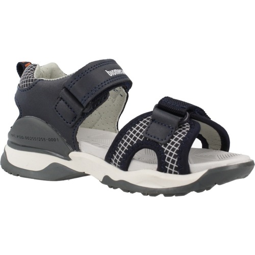 Biomecanics 252222B Blau