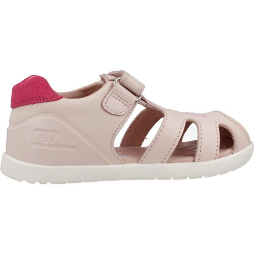 Biomecanics 252166B Rosa