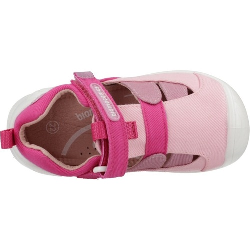 Biomecanics 252182B Rosa