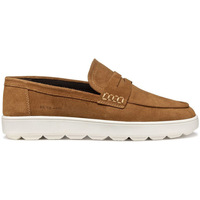 Schuhe Herren Slipper Geox U Spherica ECUB-1 mocassino Braun