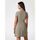 Kleidung Damen Kleider Guess W5GK70 KCBO2-G9D5 Grün