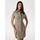 Kleidung Damen Kleider Guess W5GK70 KCBO2-G9D5 Grün