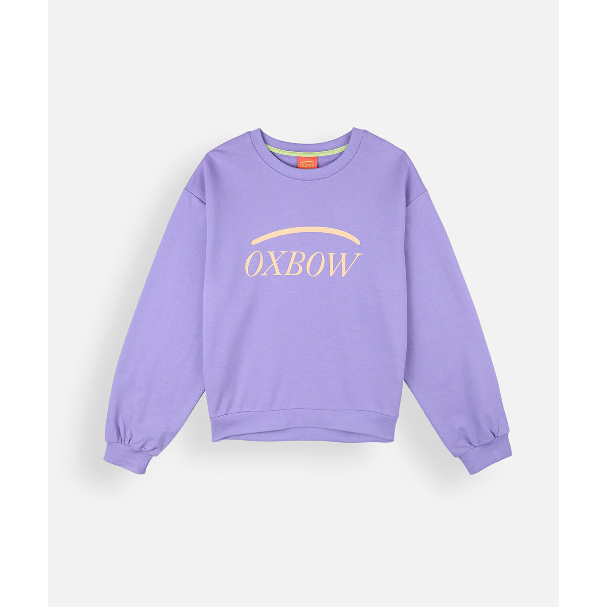 Kleidung Damen Sweatshirts Oxbow Sweat SALAI Violett