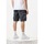Kleidung Herren Shorts / Bermudas Weekend Offender Mascia - zinc Other