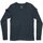 Kleidung Damen Sport BHs Devold Sport PREMIUM LS WMN INK GO 183 288 B-284A Multicolor