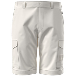 Kleidung Herren Shorts / Bermudas Napapijri Bermuda  Horton Weiss