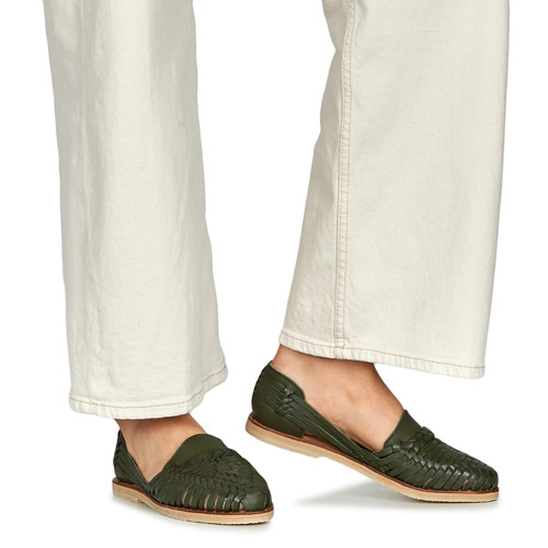 Mapache ALEGRE Olive