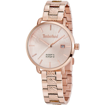 Uhren & Schmuck Herren Armbandühre Timberland TDWLH2101702 Other