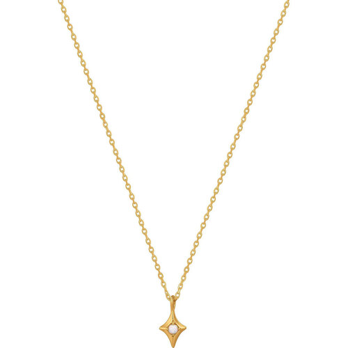 Uhren & Schmuck Damen Collier Ania Haie N034-01G Gold