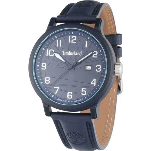 Uhren & Schmuck Herren Armbandühre Timberland TDWGB0010701 Blau