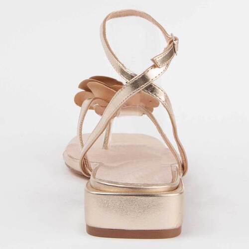 Montevita 103004 Gold